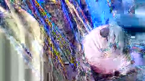 Snapshot of jcfoxx0920 chatting on October 3, 2025, 1:41 pm jcfoxx0920 online show from October 3, 2025, 1:41 pm