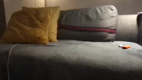 Snapshot of jebatcutevristatces12 chatting on February 23, 2025, 11:58 pm hepilauda online show from February 23, 2025, 11:58 pm