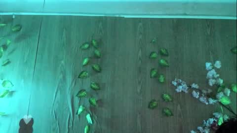 Jenelotizz online show from September 27, 2025, 6:24 pm