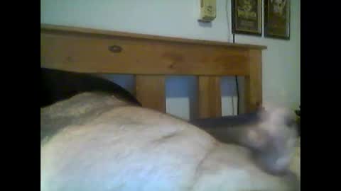Snapshot of jerkmate6666 chatting on May 15, 2026, 12:50 am jerkmate6666 online show from May 15, 2026, 12:50 am