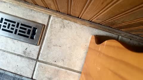 Jeremys room chill and puff one enjoy online show from September 19, 2025, 6:30 pm