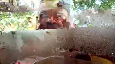 Snapshot of jerzey_n_bam chatting on September 14, 2025, 11:26 pm jerzey_n_bam online show from September 14, 2025, 11:26 pm