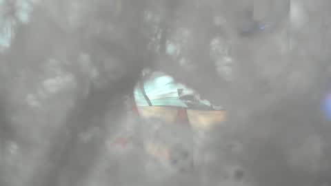 jessica herreraToday I will be your devil and you my victim online show from December 14, 2024, 2:56 am