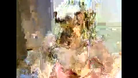 jessajoyy online show from February 1, 2025, 4:11 pm