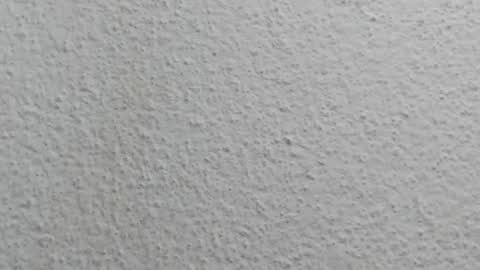 JESSY CORTES online show from April 12, 2026, 5:12 am