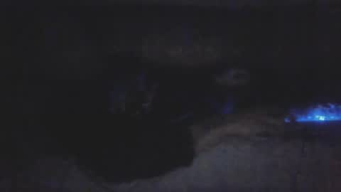 Snapshot of jetjon762844 chatting on February 9, 2026, 10:41 am jetjon762844 online show from February 9, 2026, 10:41 am