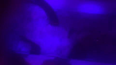 Jessica online show from February 8, 2025, 10:07 am