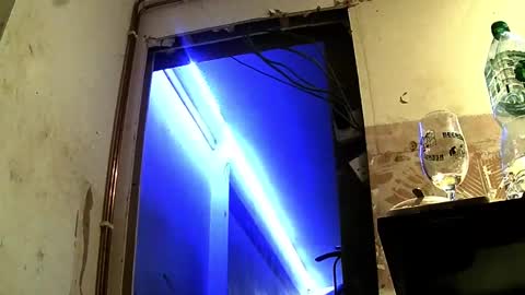 Snapshot of jhkhjku538466 chatting on February 17, 2025, 4:09 am jhkhjku538466 online show from February 17, 2025, 4:09 am