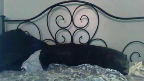 Snapshot of jimz169 chatting on May 3, 2026, 2:06 am Jimz14u online show from May 3, 2026, 2:06 am