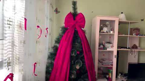 Jinny online show from December 14, 2025, 9:03 am