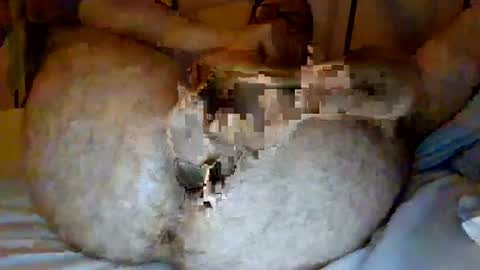 Snapshot of jjhot902921 chatting on June 25, 2026, 2:44 am jjhot902921 online show from June 25, 2026, 2:44 am