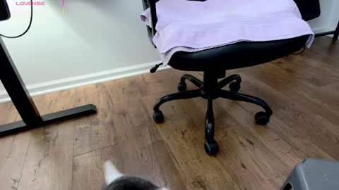 Nicole  Allen online show from December 3, 2025, 9:02 pm