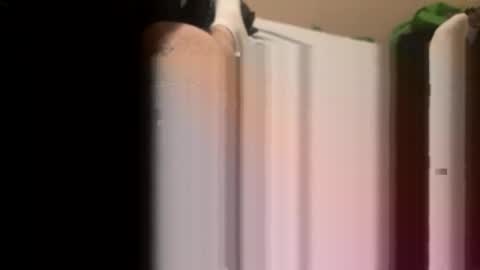 jocmyv9wokry online show from February 20, 2026, 11:54 am