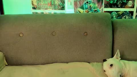 John carrie    Independent  Help me reach my goal 100 likes and 10000 followers  online show from September 28, 2025, 4:18 am