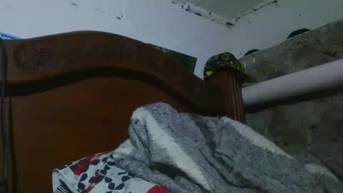 Johnny online show from December 31, 2024, 11:39 pm