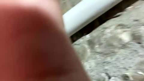 Johnny online show from January 21, 2025, 6:23 pm