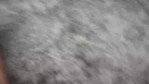 Johnny online show from December 21, 2024, 1:58 am