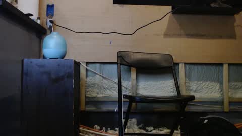 johnplayer23 online show from January 6, 2025, 1:31 am