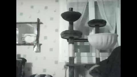 jojo60000529566 online show from January 8, 2025, 7:13 pm