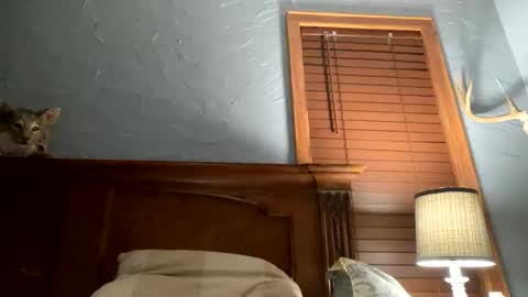 jonbigwhat online show from December 26, 2024, 1:40 am