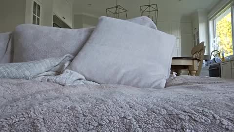 Snapshot of jonesy420xoo chatting on October 8, 2025, 11:24 pm jonesy420xoo online show from October 8, 2025, 11:24 pm