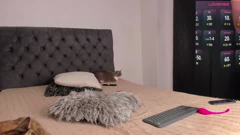 Will online show from December 28, 2024, 11:37 pm