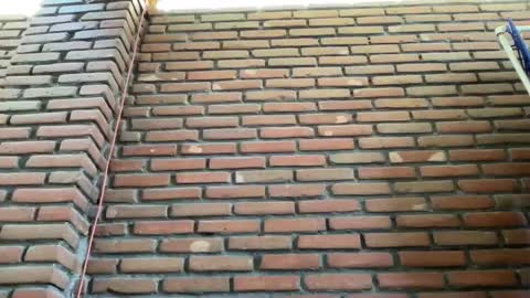 Snapshot of jorger577268 chatting on February 9, 2025, 8:34 pm JorgeMAXX online show from February 9, 2025, 8:34 pm