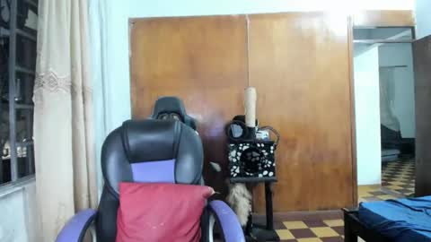 MR OAK online show from October 28, 2025, 12:36 am