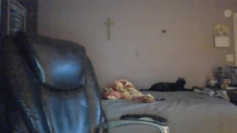 Snapshot of jpetz69257238 chatting on August 5, 2026, 5:21 am jpetz69257238 online show from August 5, 2026, 5:21 am