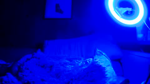 jroge21 online show from March 9, 2025, 3:22 am