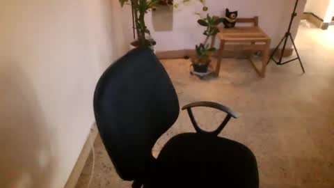 juan235665 online show from July 9, 2026, 10:03 pm