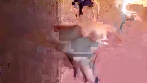 Snapshot of juan575390 chatting on December 17, 2024, 1:07 am juan575390 online show from December 17, 2024, 1:07 am