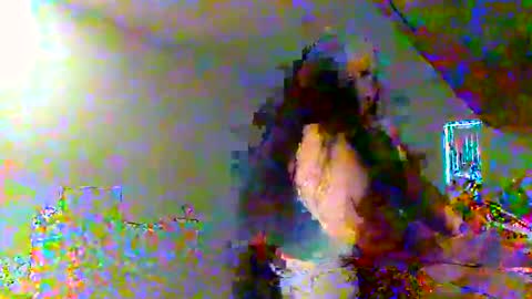 Snapshot of juicylatinabbw chatting on February 20, 2026, 4:07 pm juicylatinabbw online show from February 20, 2026, 4:07 pm