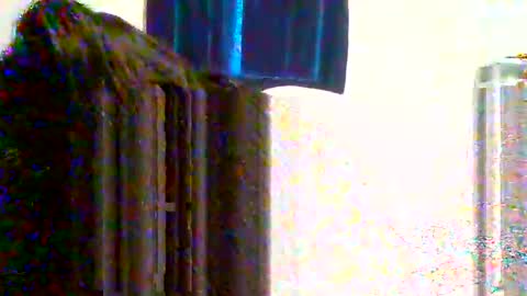 Snapshot of juicylatinabbw chatting on March 31, 2026, 12:56 am juicylatinabbw online show from March 31, 2026, 12:56 am