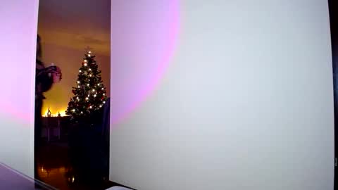 JULI  AARON online show from November 5, 2025, 2:00 am