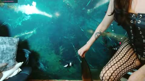    online show from November 19, 2025, 5:18 am