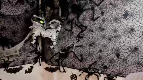 Julietta Jackson online show from October 9, 2025, 6:50 pm