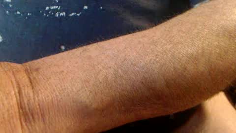 Snapshot of junjor67 chatting on February 16, 2025, 4:53 pm Werner online show from February 16, 2025, 4:53 pm