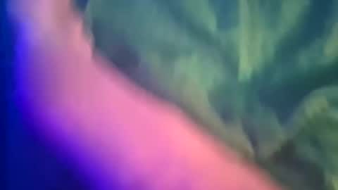 Snapshot of just4funfunfun87 chatting on March 8, 2025, 12:11 am Yuri online show from March 8, 2025, 12:11 am