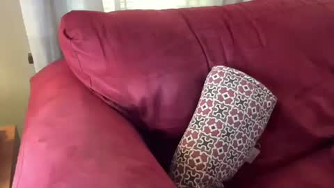 Flirty influncer online show from March 1, 2025, 6:11 pm