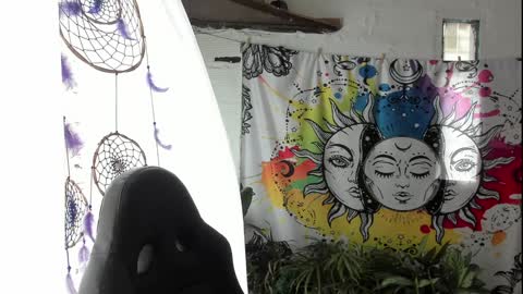 Sofia online show from January 26, 2025, 5:02 pm