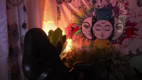 Sofia online show from February 16, 2025, 10:43 am