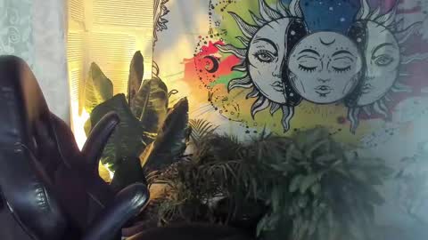 Sofia online show from February 21, 2025, 10:39 am