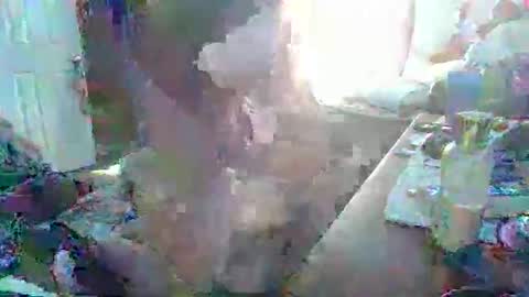 justintyme911128278 online show from March 19, 2026, 8:35 pm