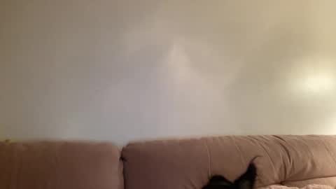 Snapshot of justjessiedirtygirl chatting on March 2, 2026, 4:36 am Jess online show from March 2, 2026, 4:36 am