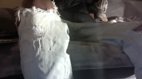 The Great online show from October 20, 2025, 12:16 pm