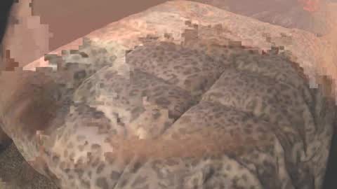 big j online show from February 11, 2025, 6:22 pm