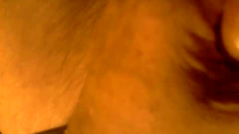 kaatingen online show from November 9, 2025, 3:10 pm