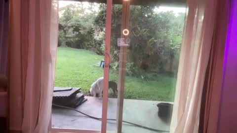 Kailee Smile online show from January 7, 2025, 3:46 am