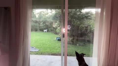 Kailee Smile online show from January 8, 2025, 3:51 am